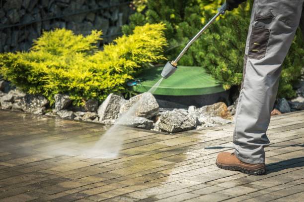 Best Gutter Cleaning  in Otsego, MN